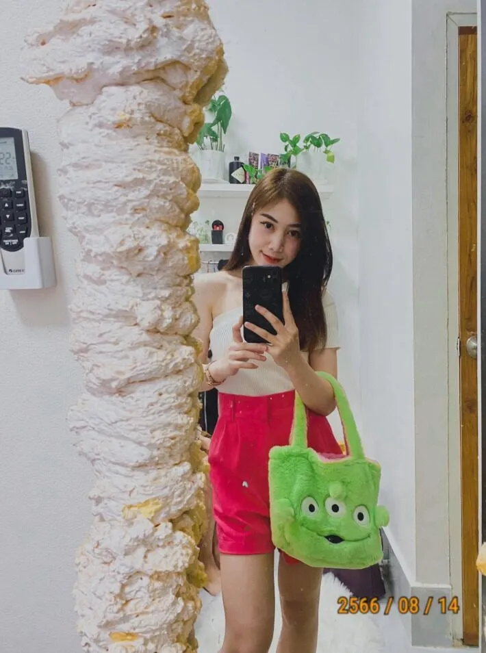 Chiến lược và tầm nhìn của Lan Chi Shyn đối với exodus-international.org